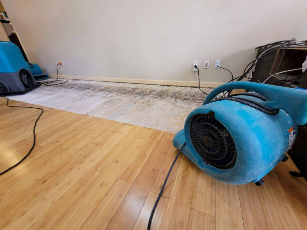 Professional Structural Drying technician working in South Dennis, MA